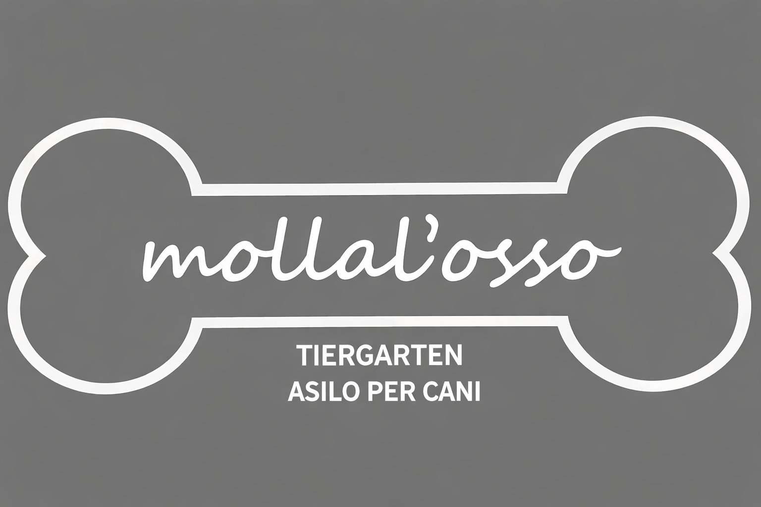 Molla l'osso - Tiergarten Trento - Asilo per cani
