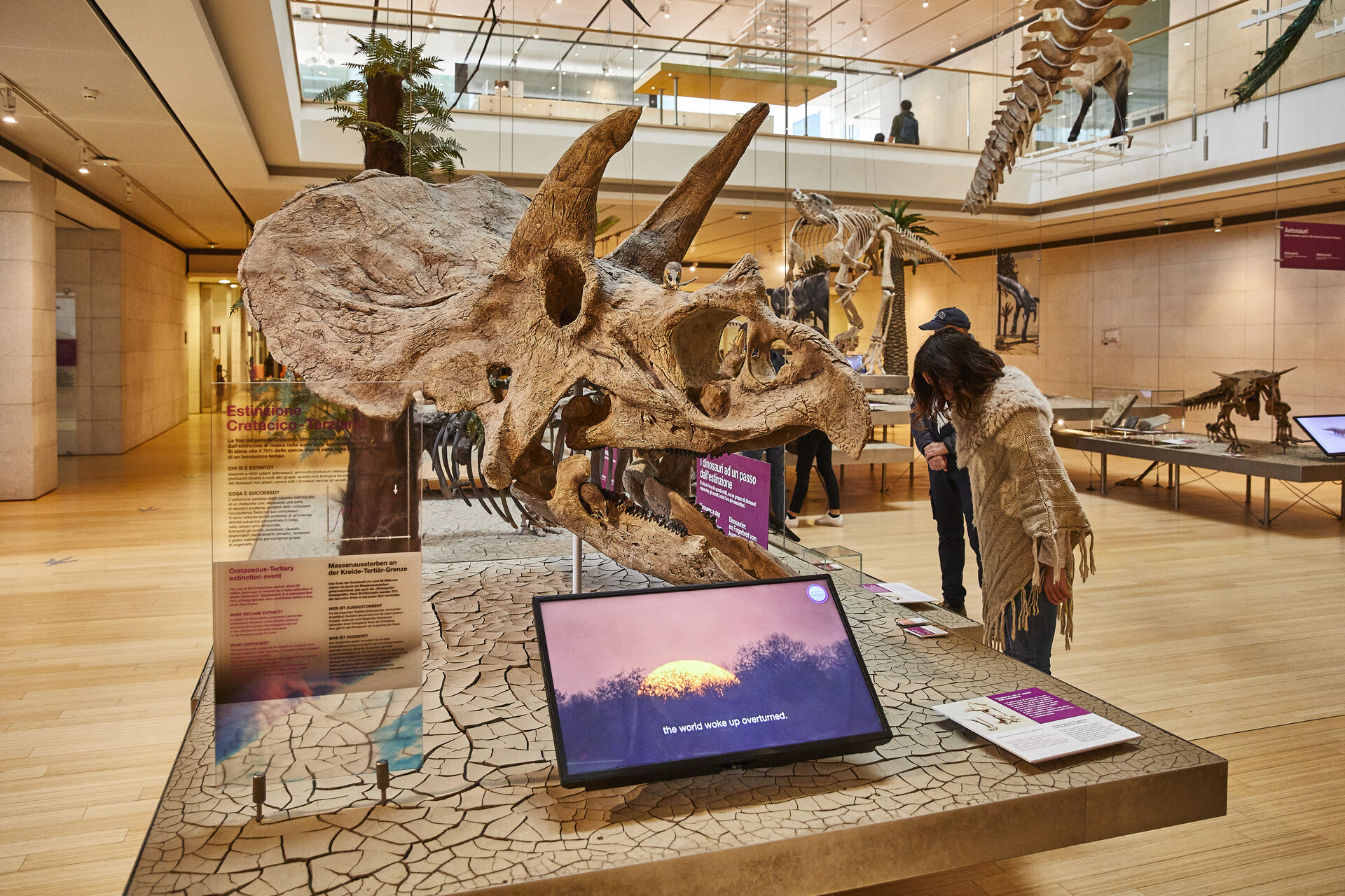 Content Dam Org 0 Images Full Rights Cultura 36100