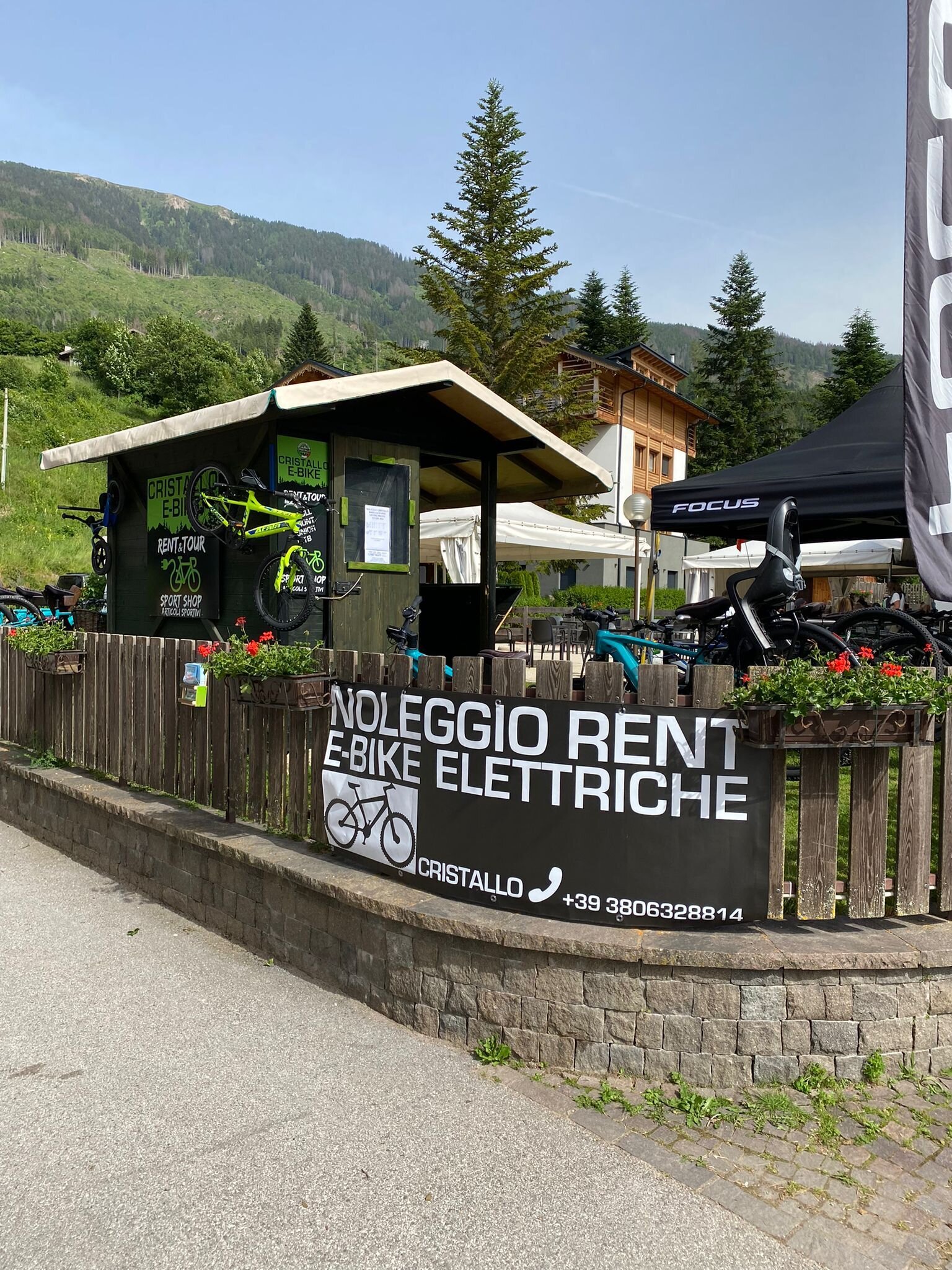 Content Dam Org 7 Images Full Rights Servizi Noleggi Noleggi Bike Pine Ph Noleggio Cristallo Pine 3