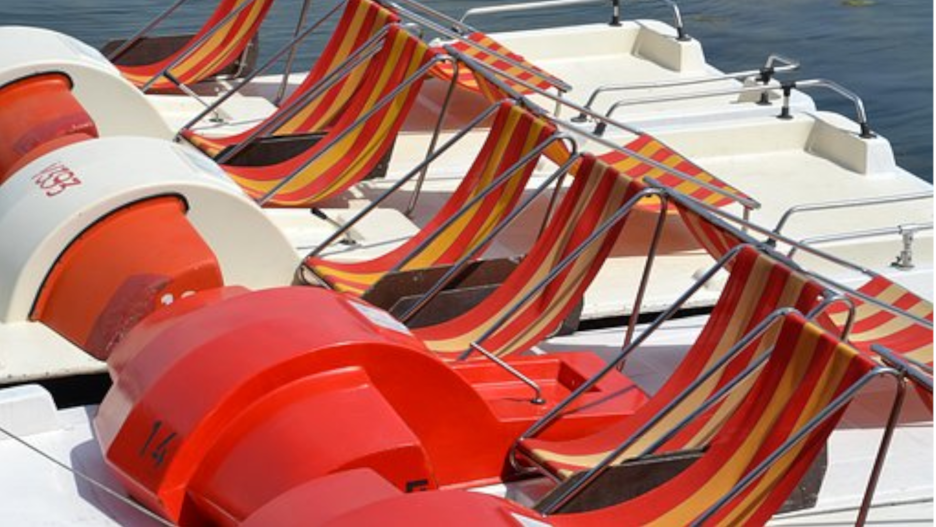 Noleggio Pedalò New Lido