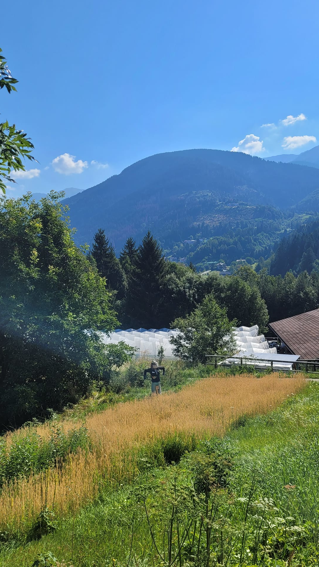 Content Dam Org 7 Images Full Rights Shopping Panifici E Pasticcerie Pine Panificio Ambrosi Bed 3