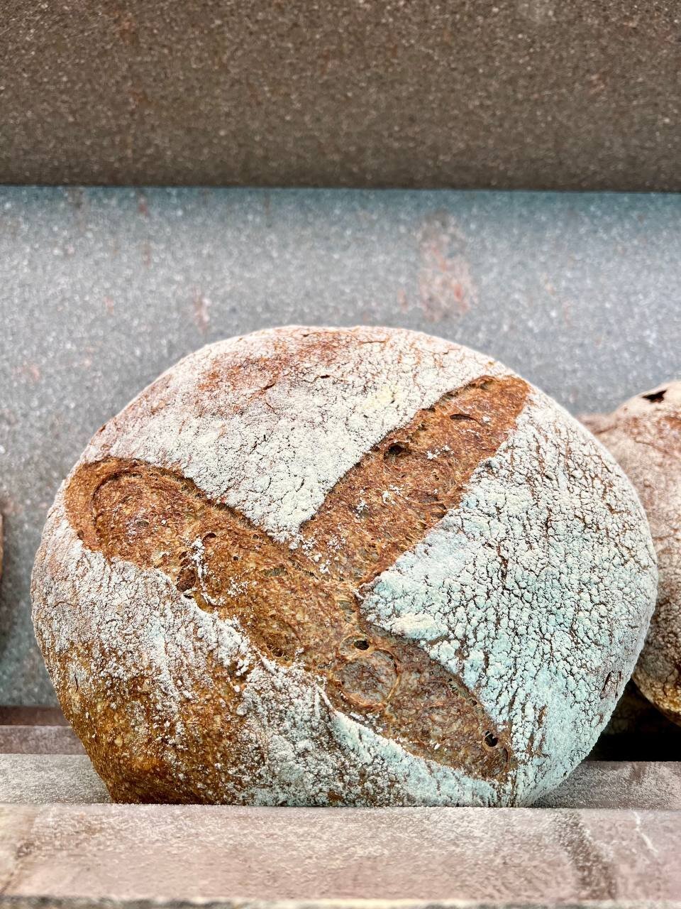 Content Dam Org 7 Images Full Rights Gusto Panifici Panificio Moderno Panificio Moderno 4