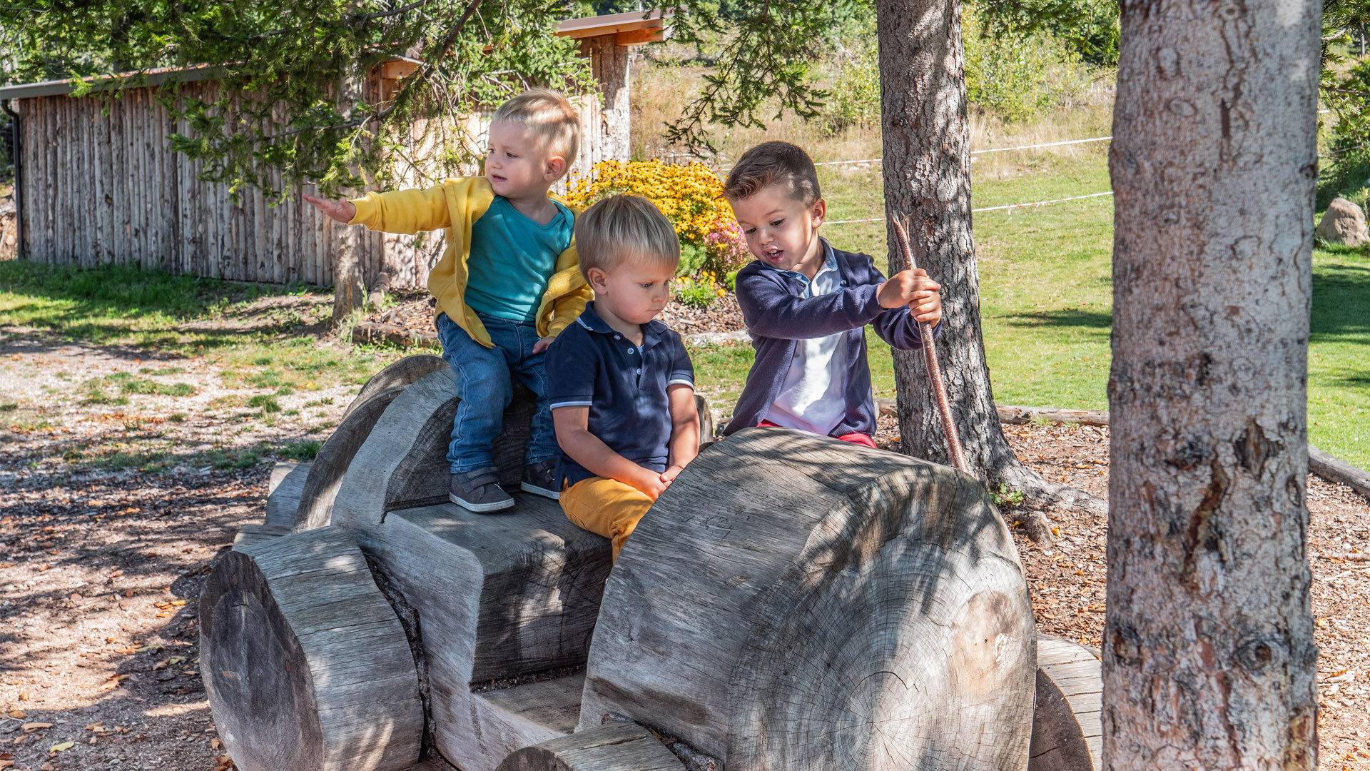 Content Dam Org 7 Images Full Rights Outdoor Altre Attivita Altopiano Di Pine Parchi Gioco Pine Parcogiochi Pine Cembra Primavera Estate A Monticelli