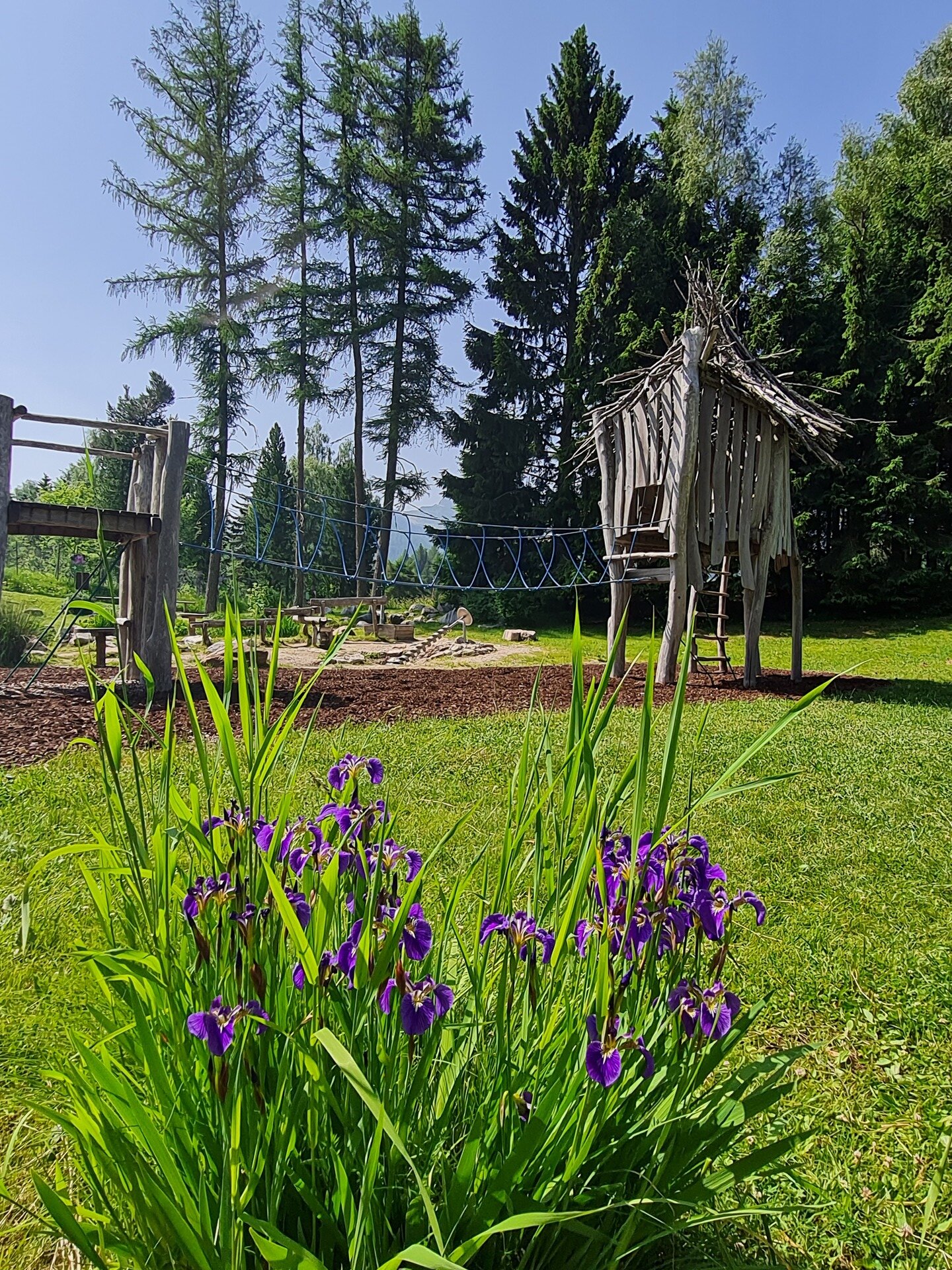 Content Dam Org 7 Images Full Rights Outdoor Altre Attivita Monte Bondone Parco Giochi Viote Foto Giada 2022 2