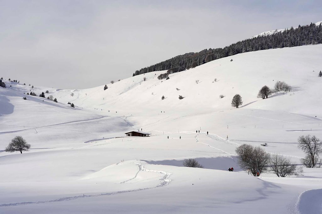 Content Dam Org 7 Images Full Rights Natura Viote R Magrone Riserva Tre Cime Bondone