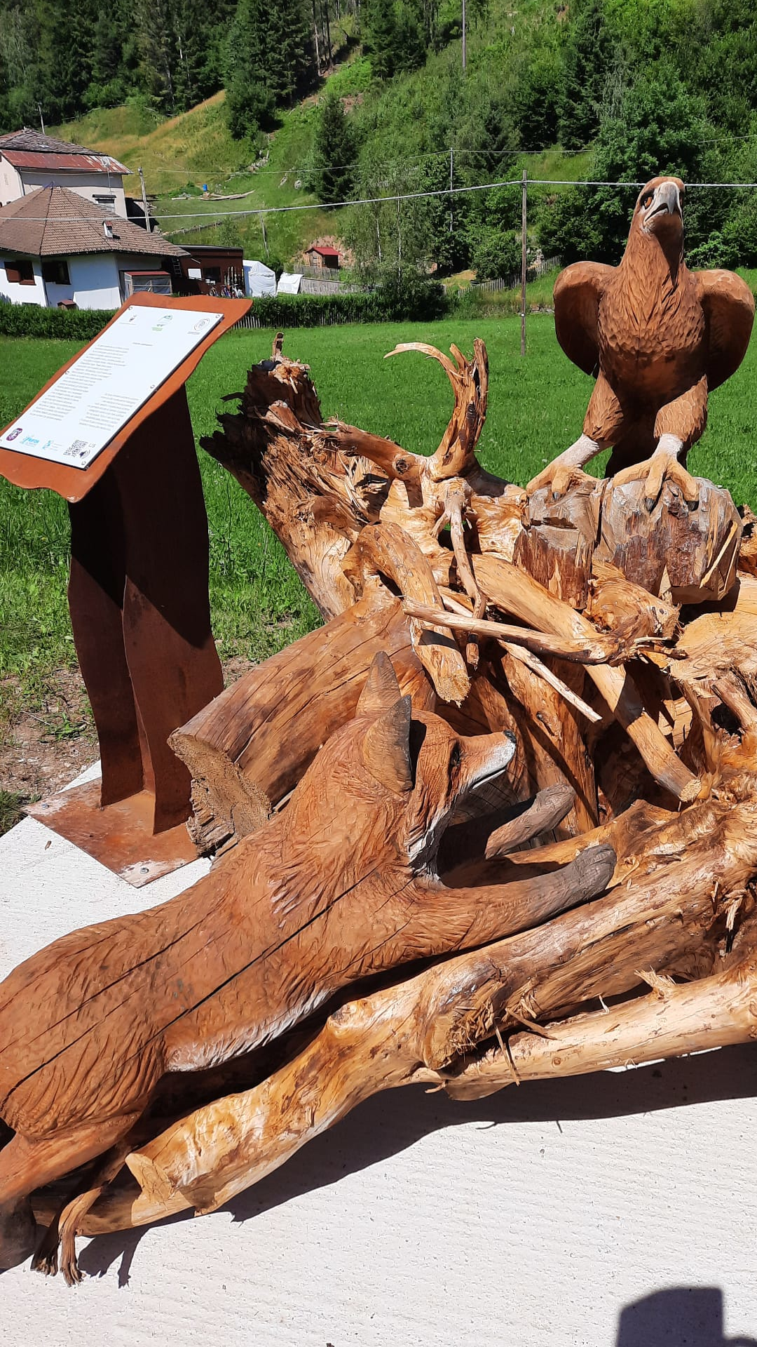 Content Dam Org 7 Images Full Rights Wellness Percorsi Sensoriali Pine Percorso Multisensoriale 2