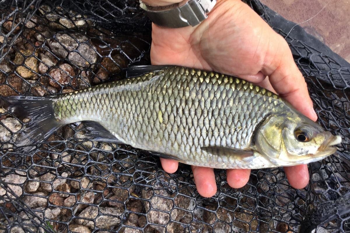 Pesca al lago delle Piazze