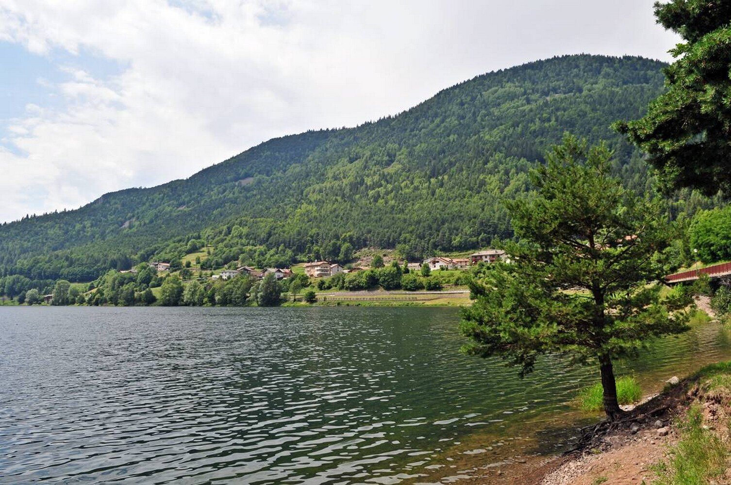 Content Dam Org 7 Images Full Rights Outdoor Ispirazione Altopiano Di Pine Pesca Al Lago Delle Piazze Piazze Archivio Apt Pine Cembra 1