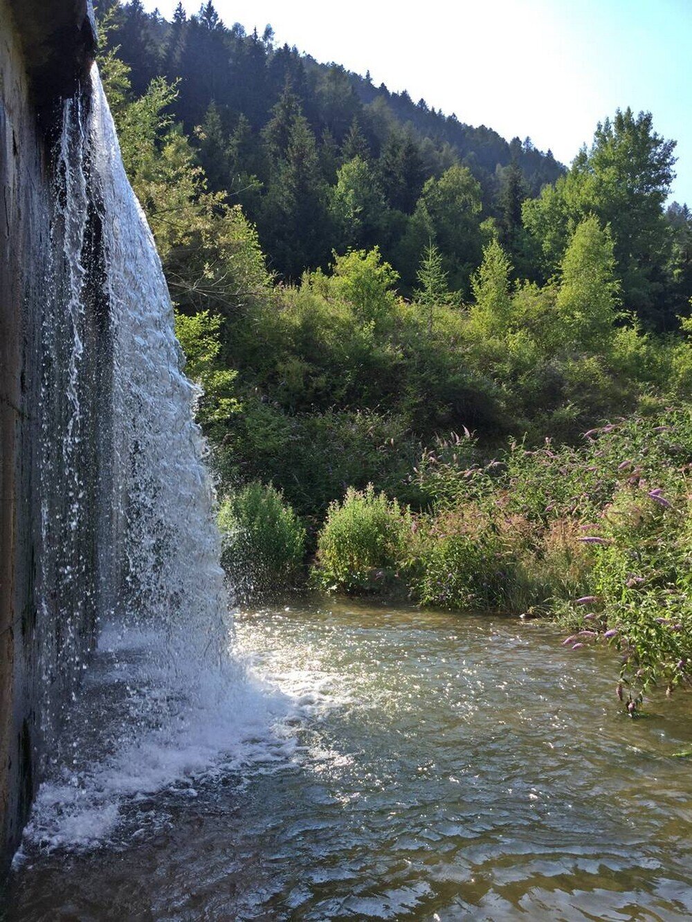 Content Dam Org 7 Images Full Rights Outdoor Ispirazione Altopiano Di Pine Pesca Sul Rio Brusago Cattura Rio Brusago Archivio Apt Pine Cembra 2