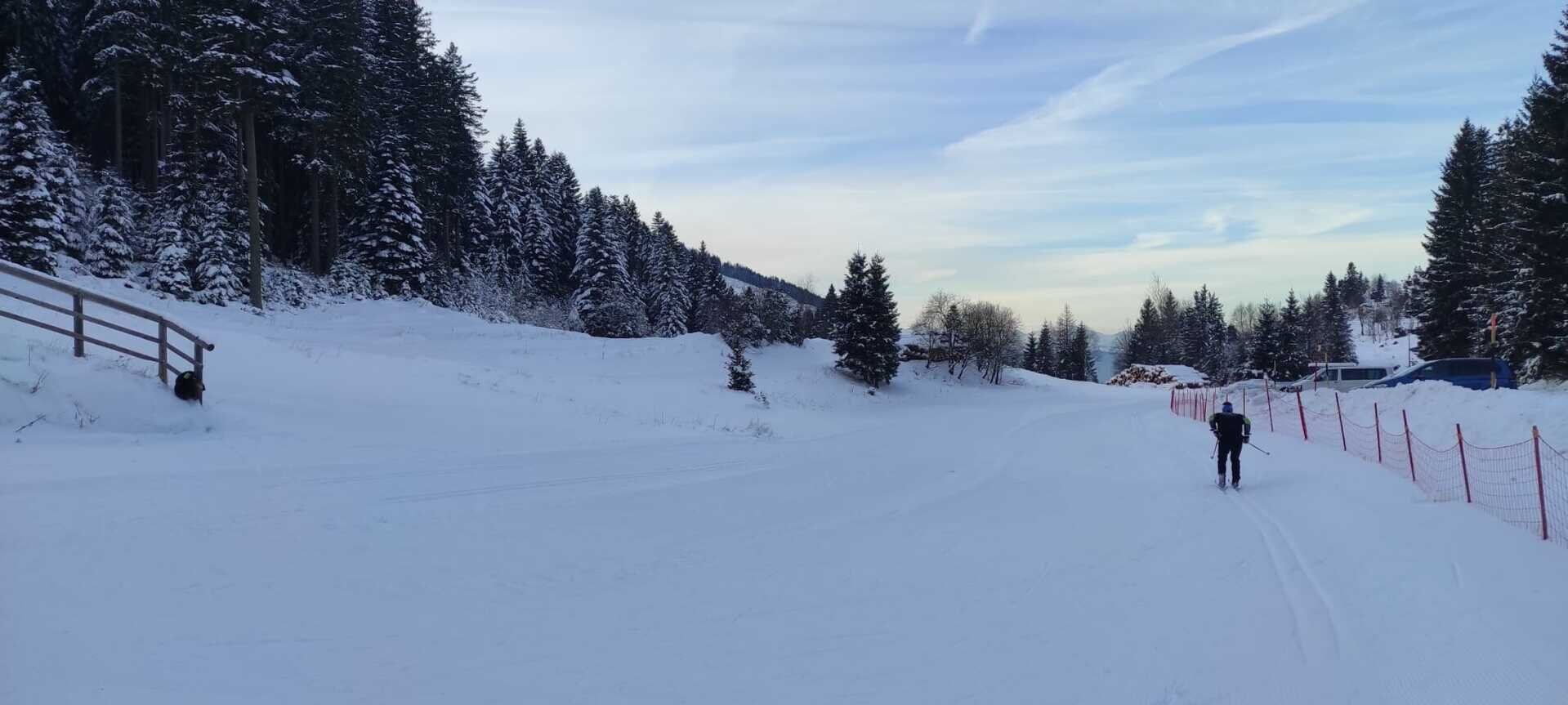 Content Dam Org 7 Images Full Rights Outdoor Sulla Neve Ski Area Piste Da Fondo Pine Pista Fondo Ph Ylenia Moser 2