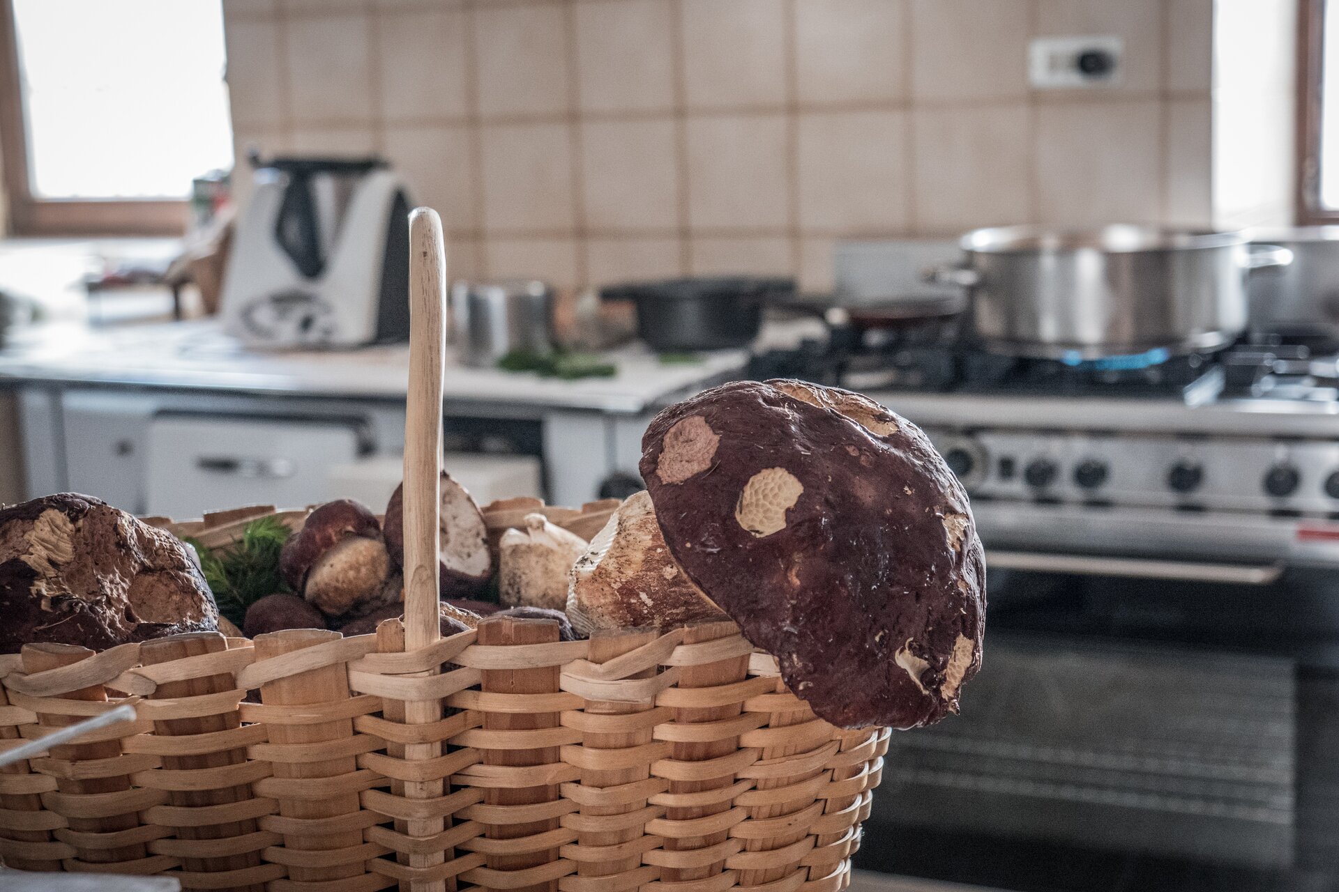 Vorschriften für Pilze