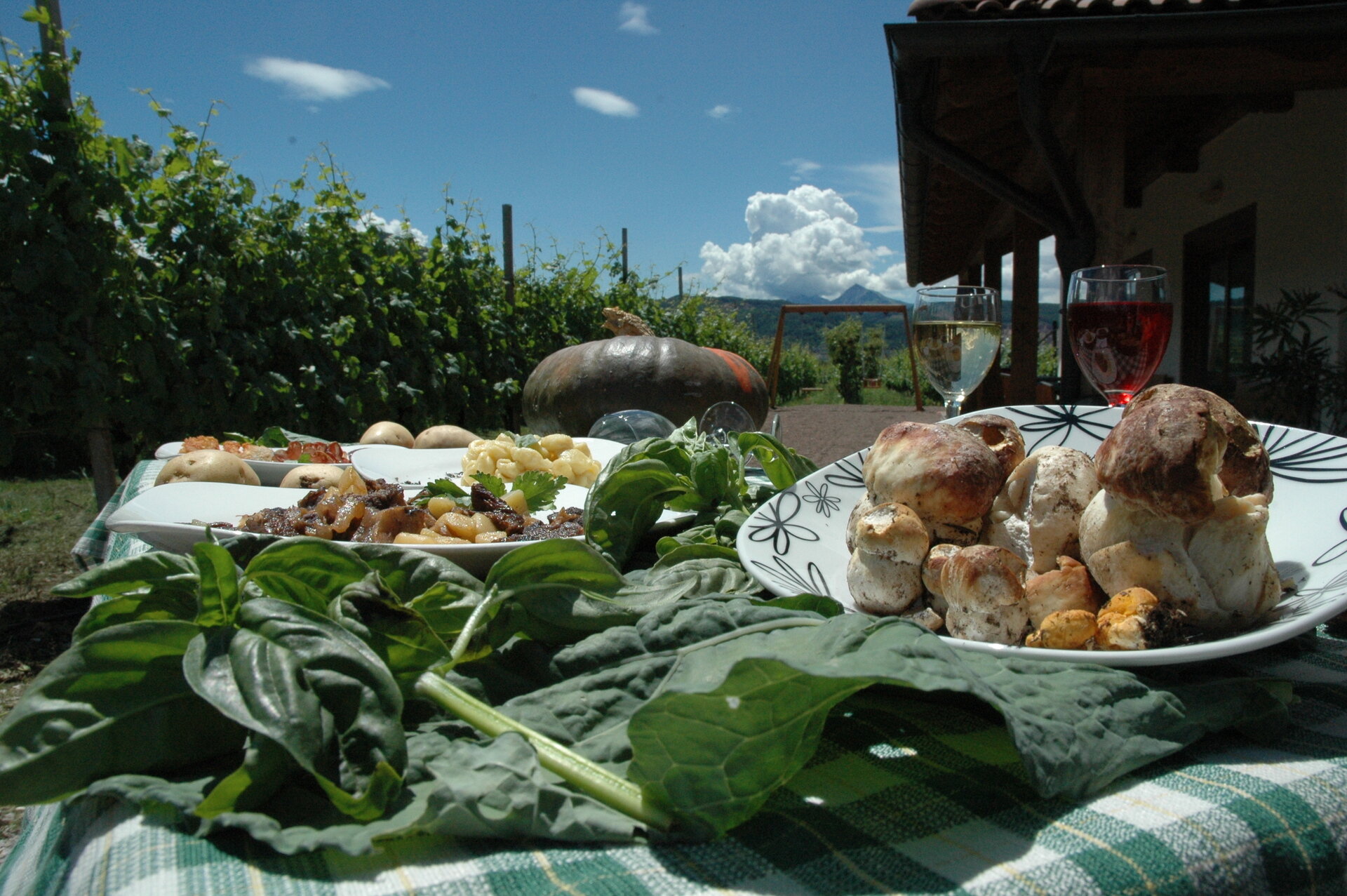 Content Dam Org 7 Images Full Rights Outdoor Ispirazione Altopiano Di Pine Regolamento Funghi 2011 Prodotti Tipici Adagio Gusto Piatti Funghi Ph Y Moser