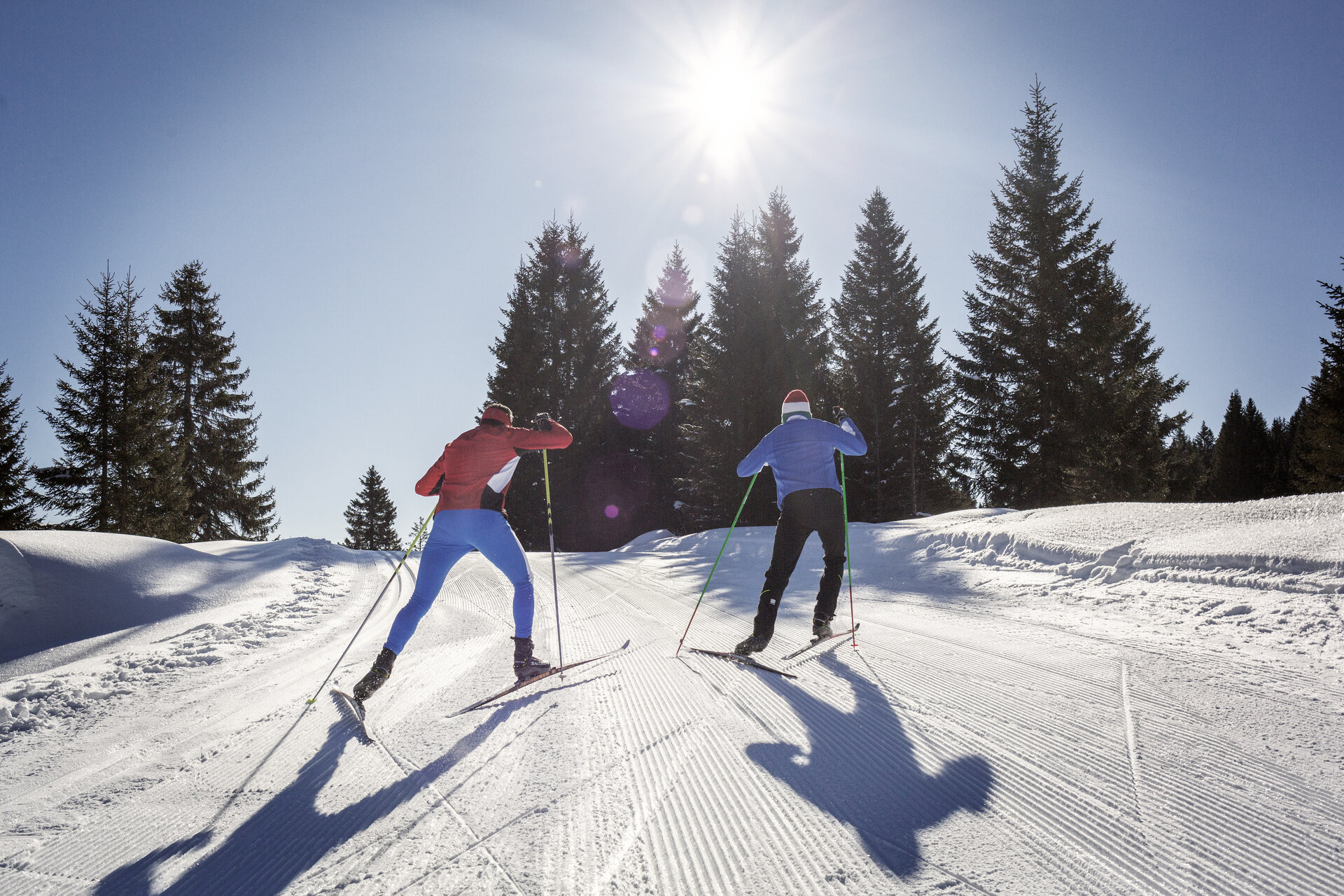 Content Dam Org 0 Images Full Rights Ski Area Fondo 29975