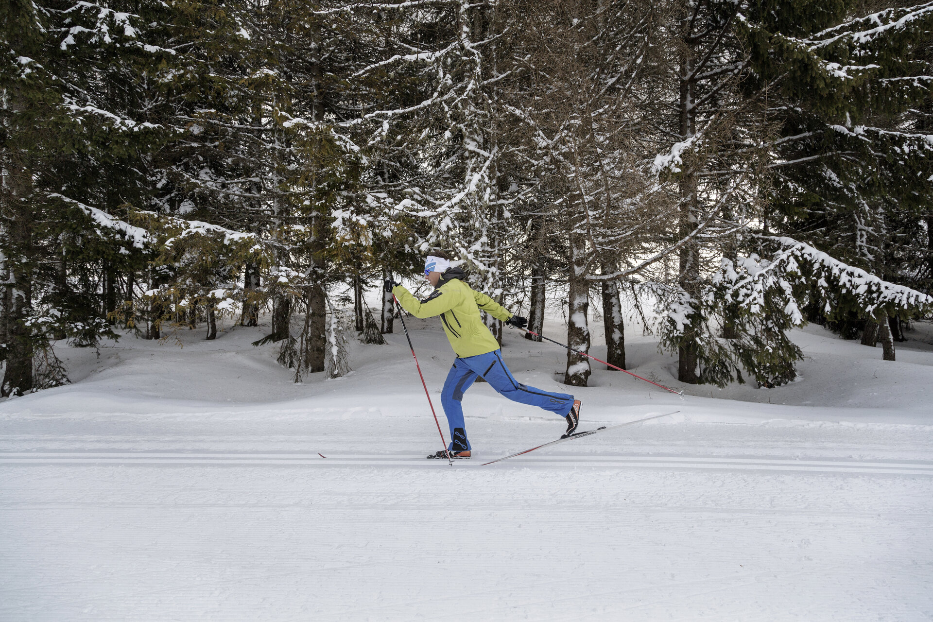 Content Dam Org 0 Images Full Rights Ski Area Fondo 28006