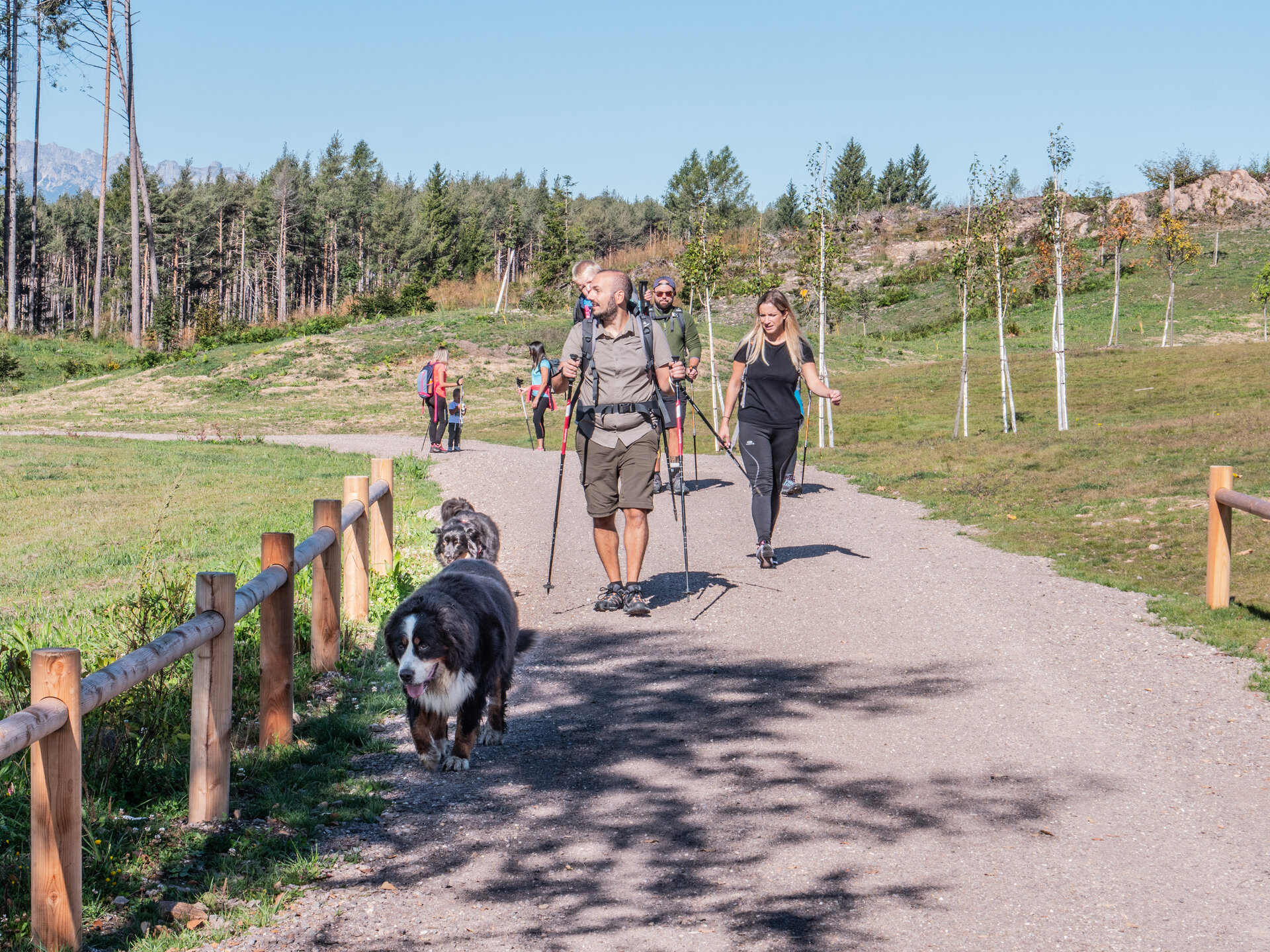 Content Dam Org 7 Images Full Rights Servizi Farmacie E Numeri Utili Pine Servizi Animali A 4 Zampe Servizi 4 Zampe Ph A Monticelli 2