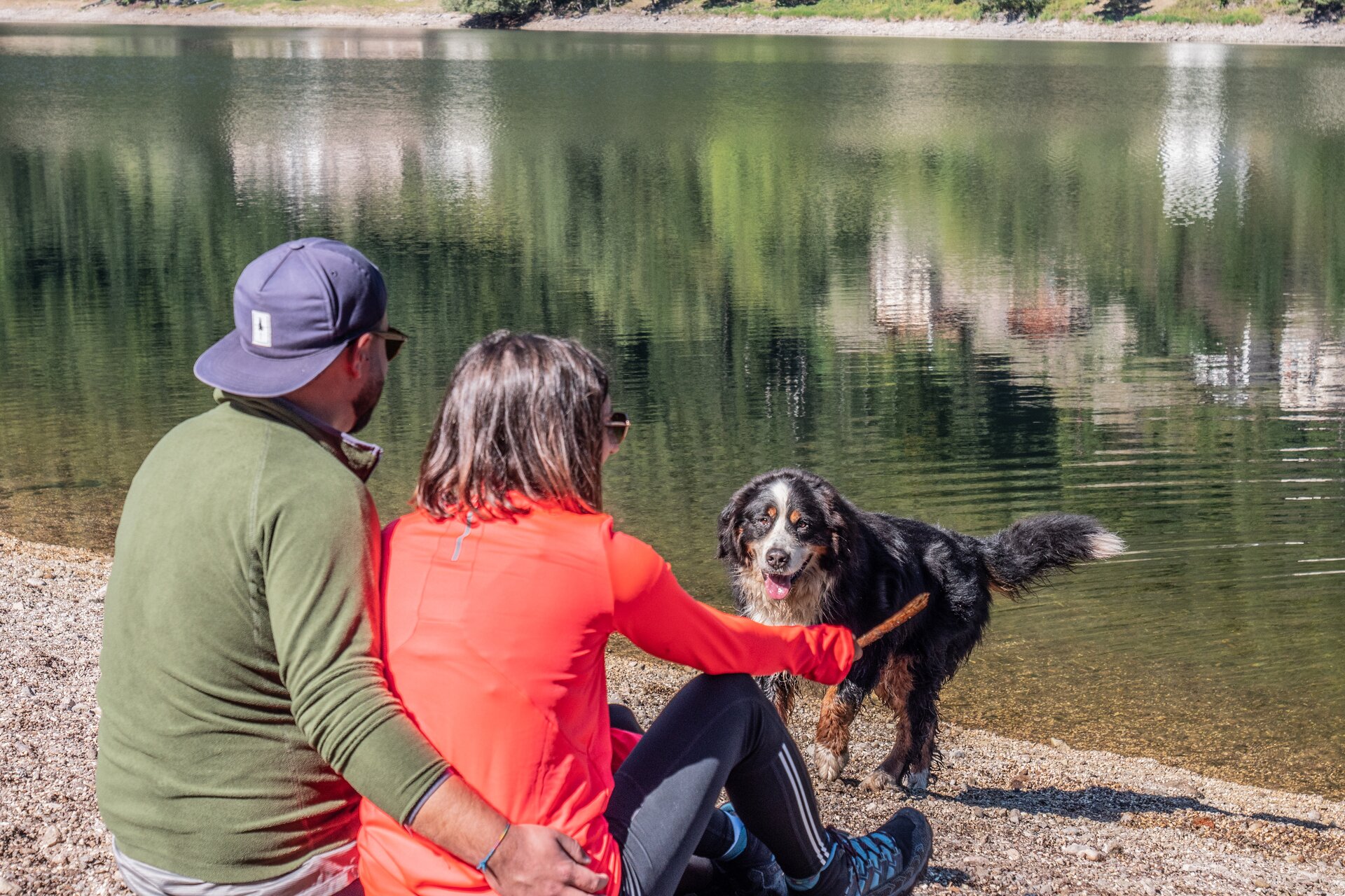 Pet-friendly services