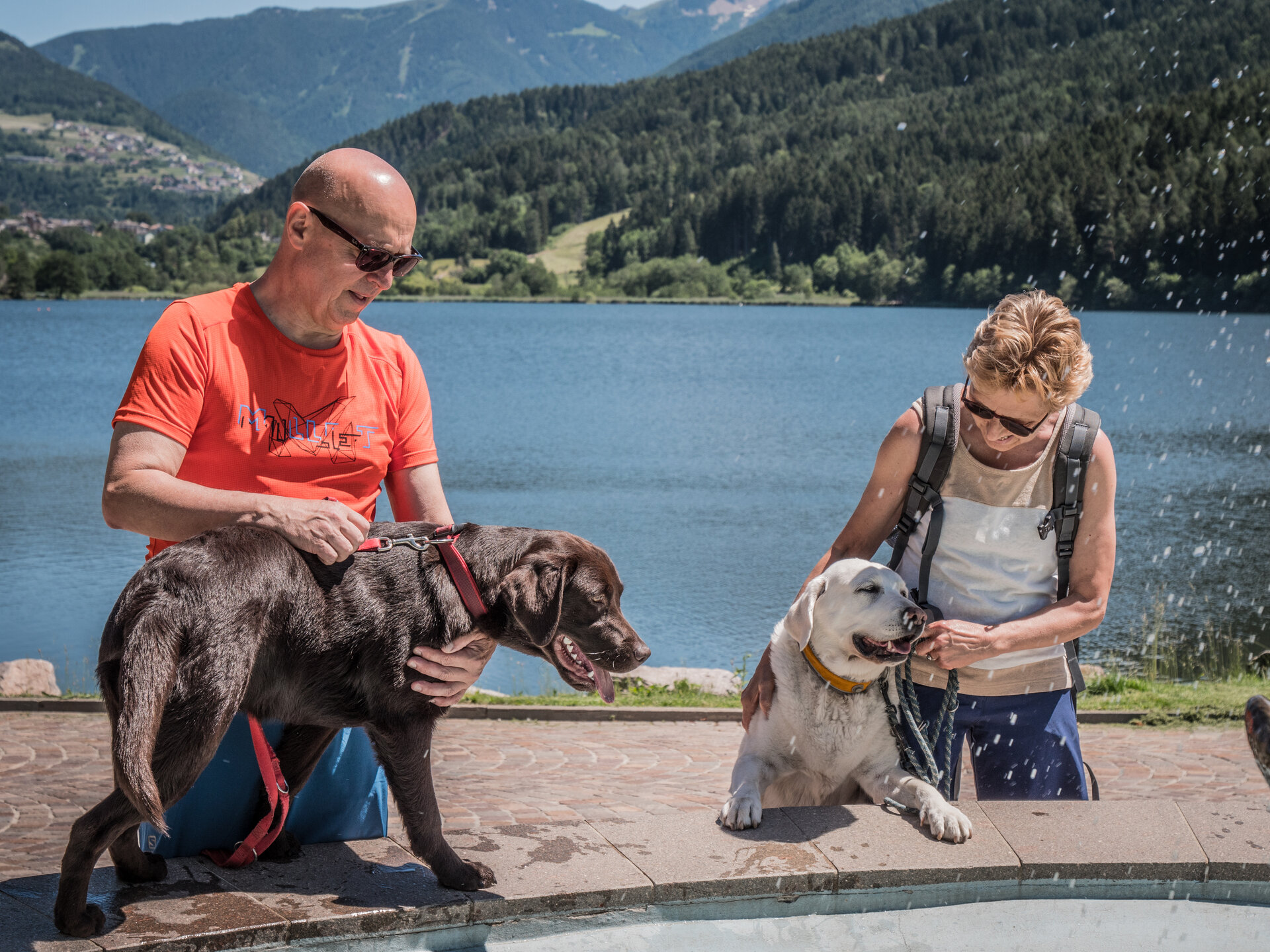 Content Dam Org 7 Images Full Rights Servizi Farmacie E Numeri Utili Pine Servizi Animali A 4 Zampe Passeggiata Lungolago Lago Serraia A Monticelli 32