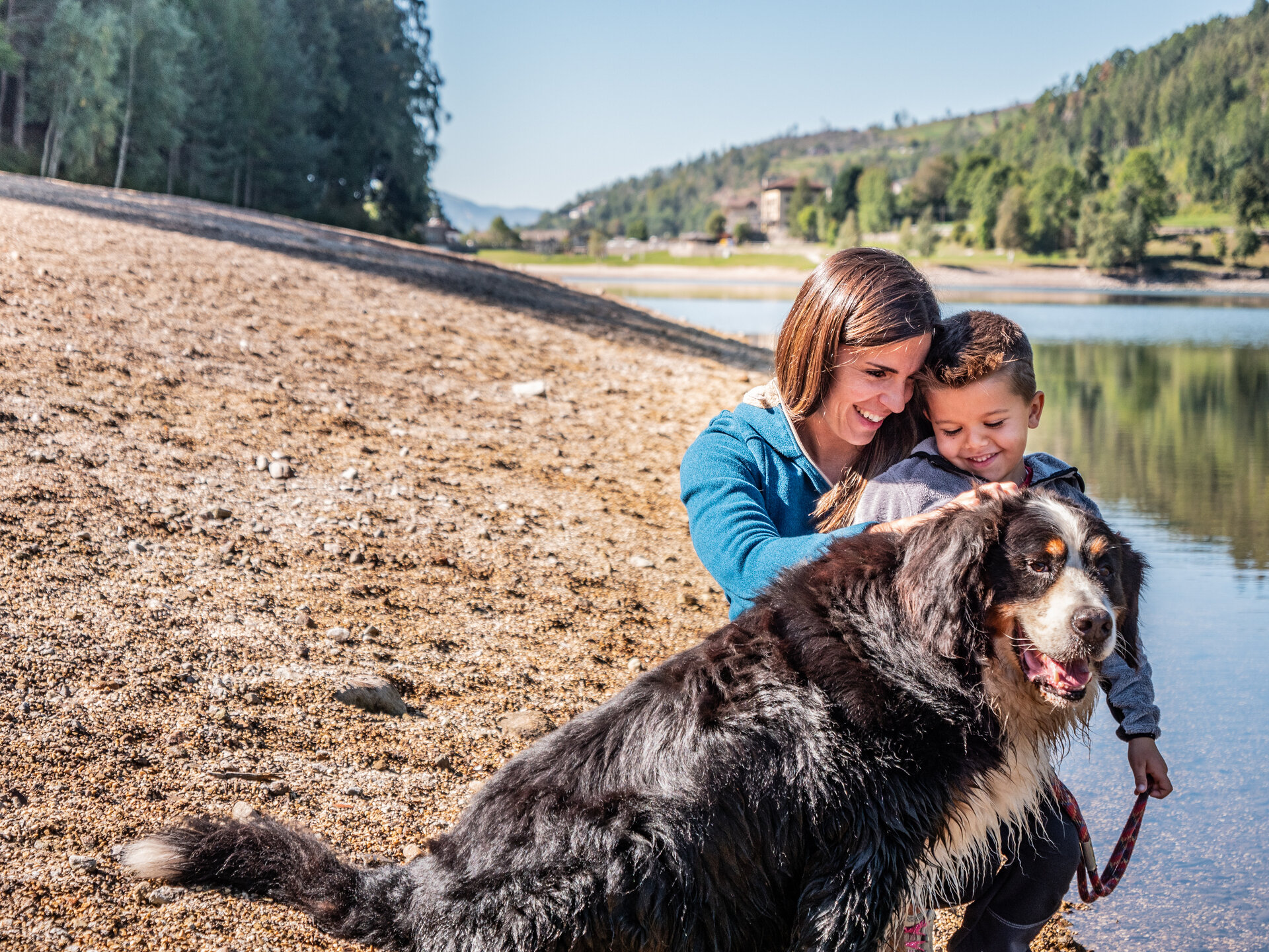 Content Dam Org 7 Images Full Rights Servizi Farmacie E Numeri Utili Pine Servizi Animali A 4 Zampe Servizi 4 Zampe Ph A Monticelli 3