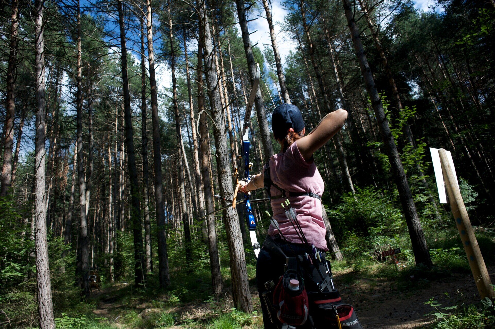 Content Dam Org 7 Images Full Rights Servizi Noleggi Noleggi Altre Attrezzature Pine Tiro Con L Arco Archivio Pine Cembra Ph Daniela Bazzani 250