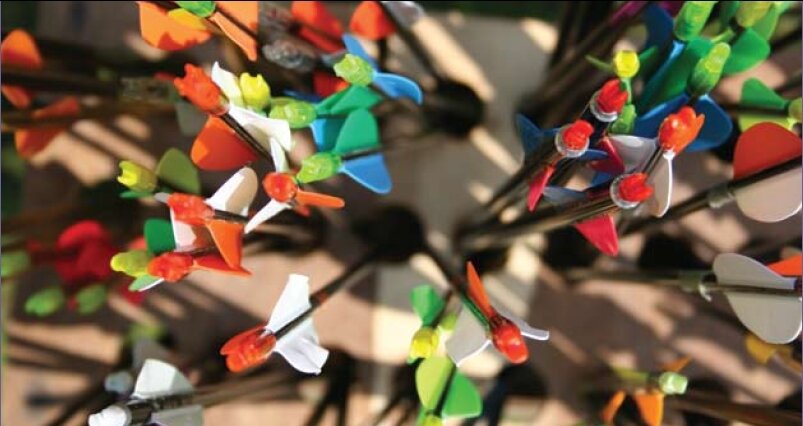 Content Dam Org 7 Images Full Rights Servizi Noleggi Noleggi Altre Attrezzature Pine Tiro Con L Arco Tiro Con Larco Archivio Apt Pine Cembra 1