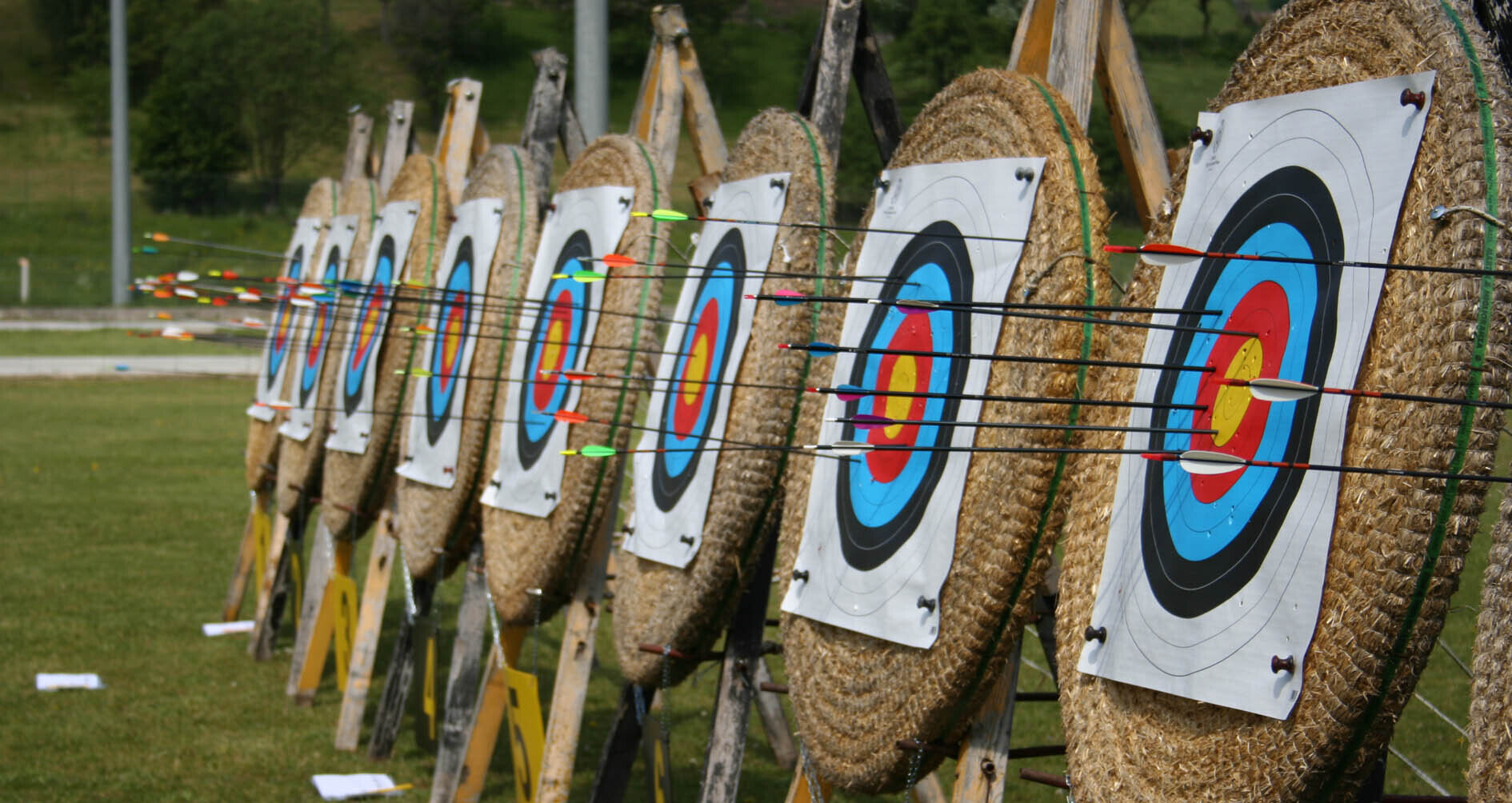 Content Dam Org 7 Images Full Rights Servizi Noleggi Noleggi Altre Attrezzature Pine Tiro Con L Arco Tiro Con Larco Archivio Apt Pine Cembra 4