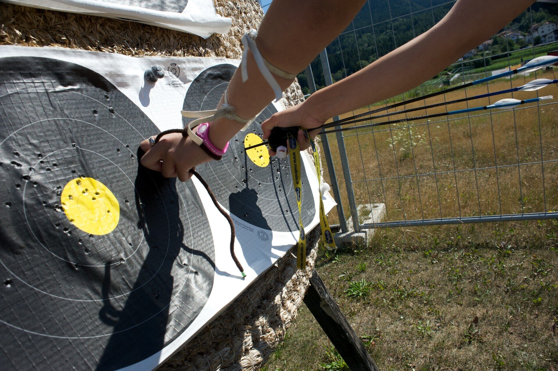 Content Dam Org 7 Images Full Rights Servizi Noleggi Noleggi Altre Attrezzature Pine Tiro Con L Arco Archivio Pine Cembra Ph Daniela Bazzani 240