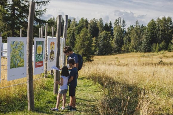 Attività per famiglie al Giardino botanico