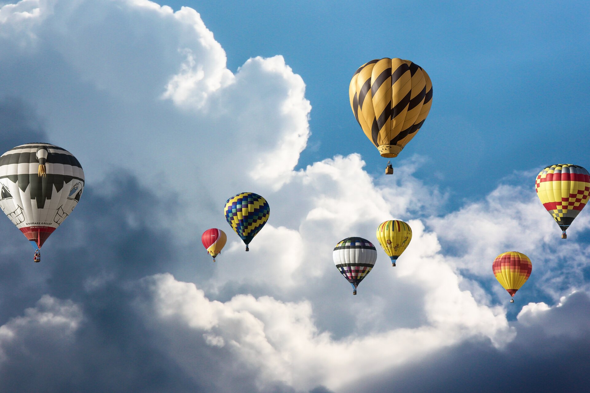 Balloon Fest