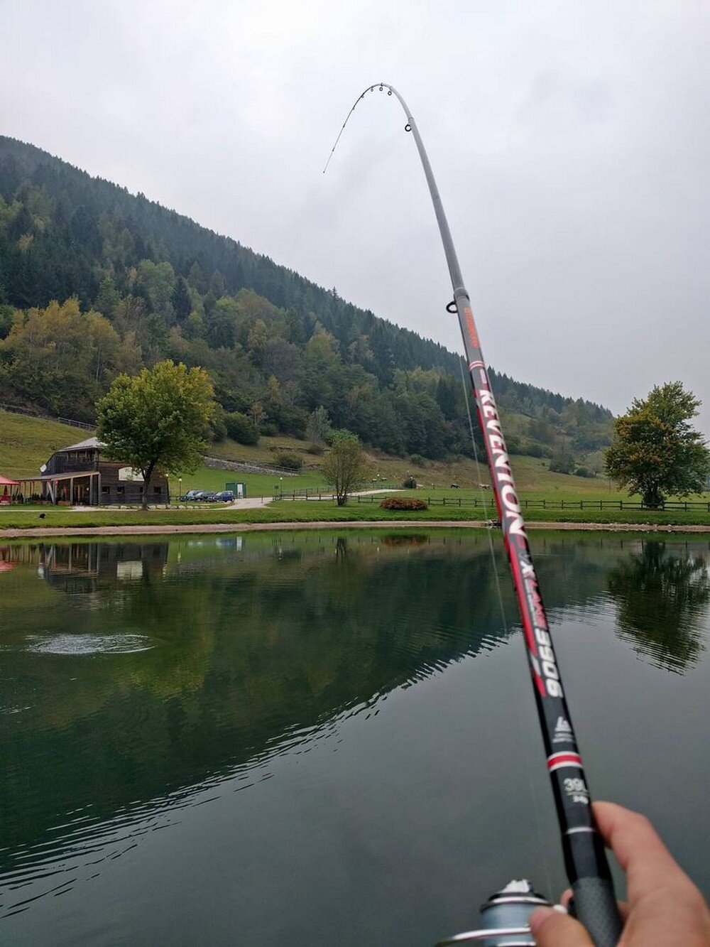 Buse Archivio Apt Pine Cembra 1