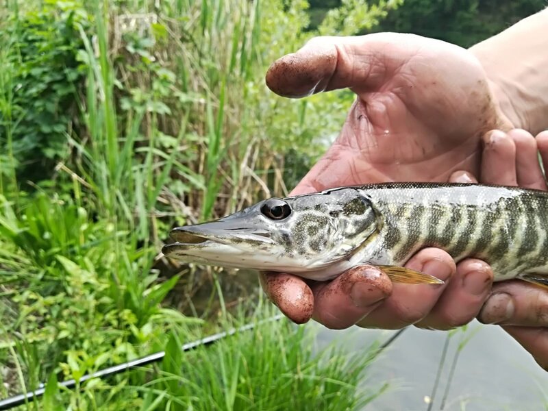 Fishing at Lake Serraia