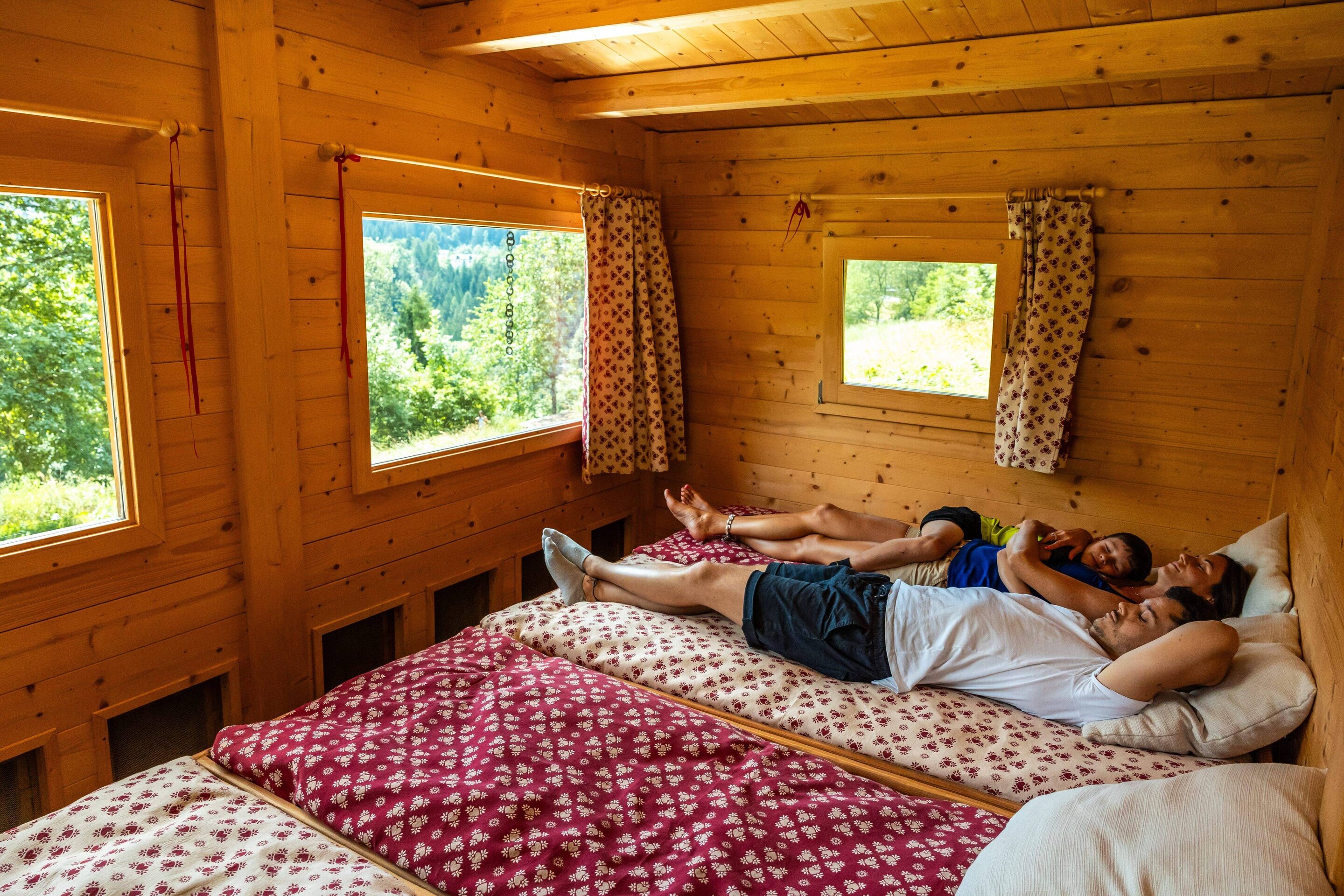 Apicoltura Gocce D Oro Ph Marco Gober 56