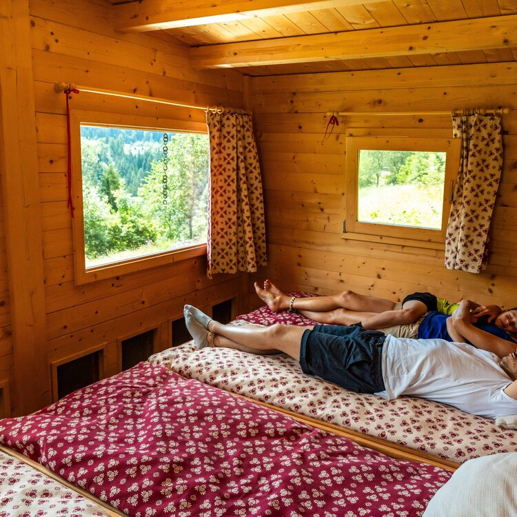 Apicoltura Gocce D Oro Ph Marco Gober 56