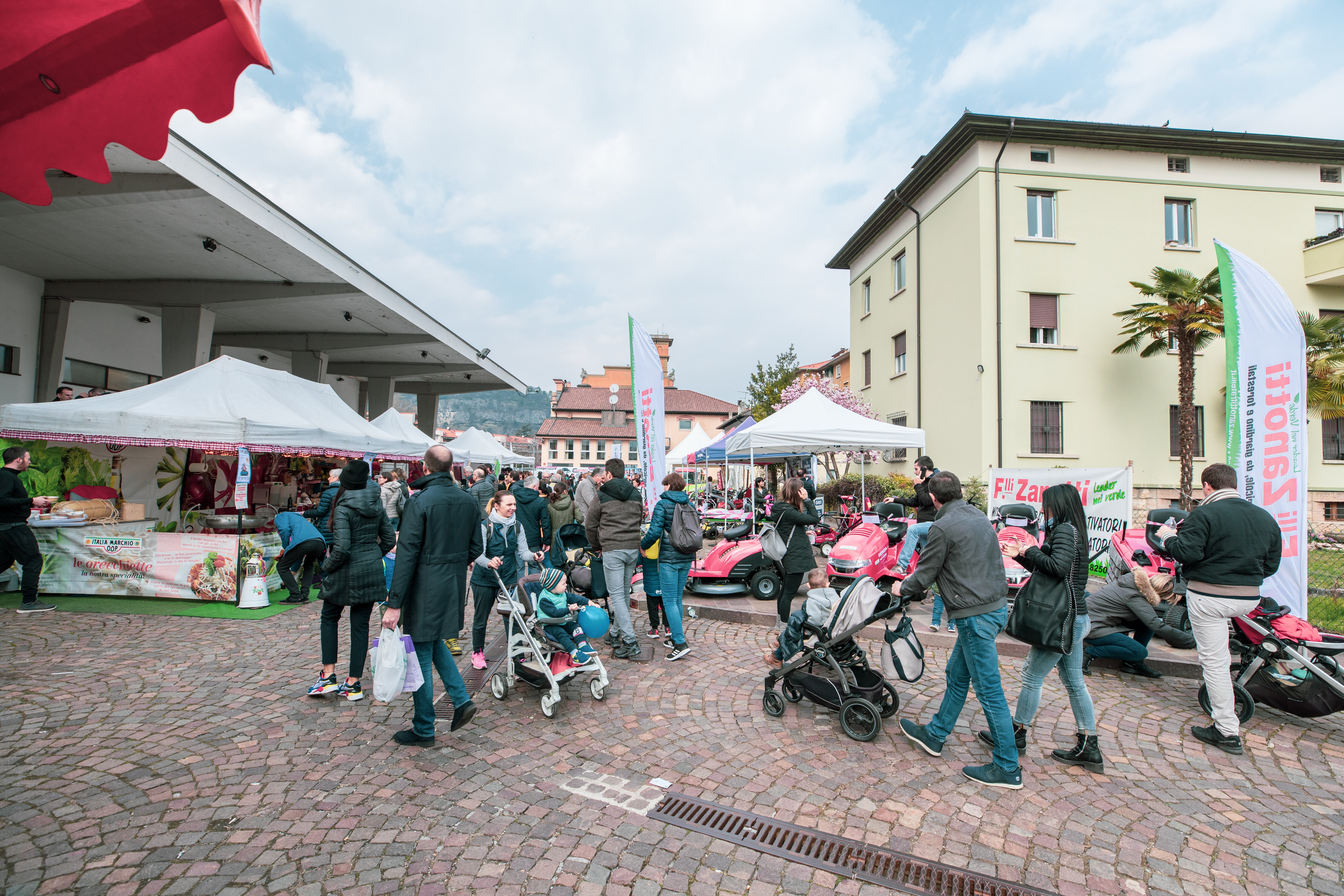 Biologica Ph Gaia Panozzo 7