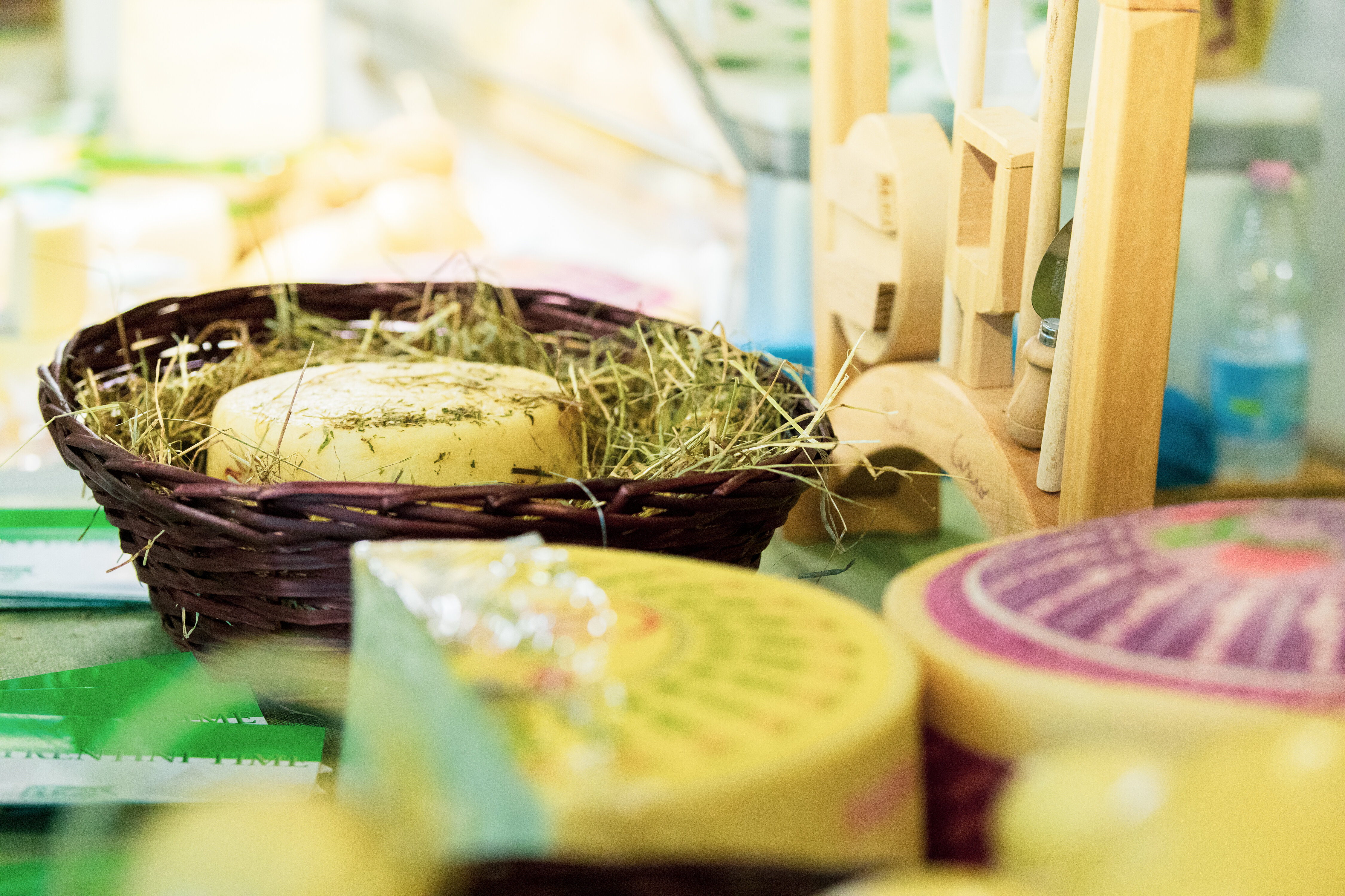 Biologica Ph Gaia Panozzo 6