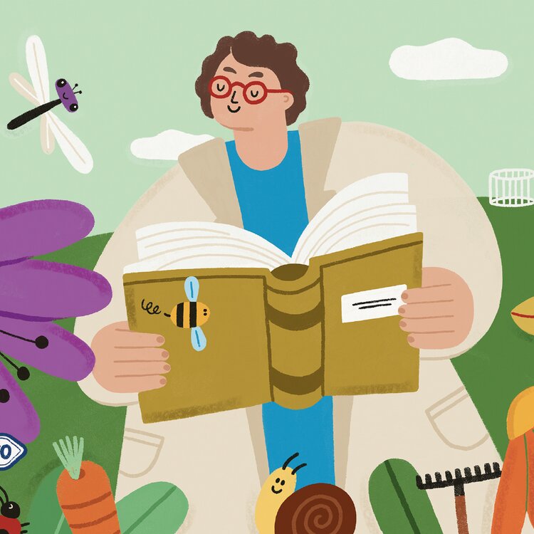 Bio-Logica, Biodiversität über das Biologische hinaus