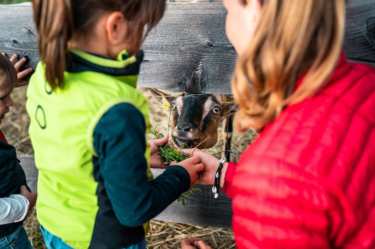 Mostra dell'Agricoltura