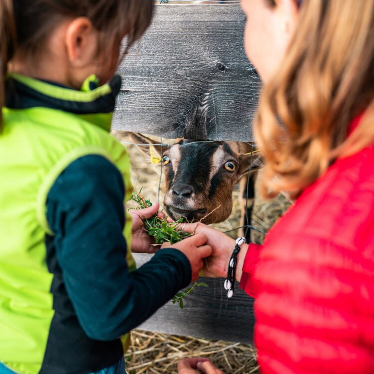 Mostra dell'Agricoltura