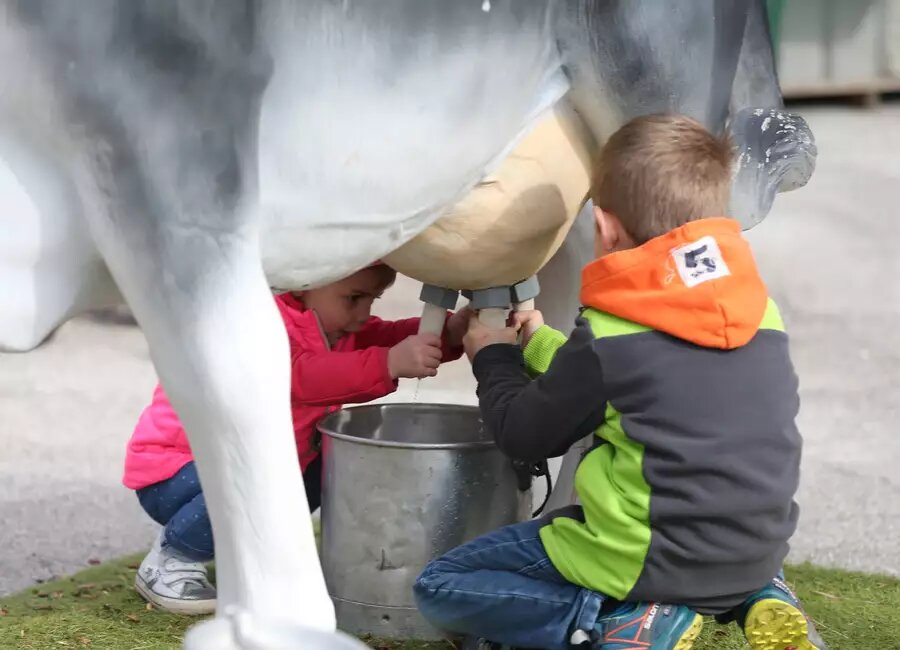 Content Dam Org 7 Images Full Rights Eventi Trento Trento Fiere Mostra Dell Agricoltura Mostra Dellagricoltura Trento Expo Foto M Trabalza 3 Media 9a2dd926 Query A8b57a03