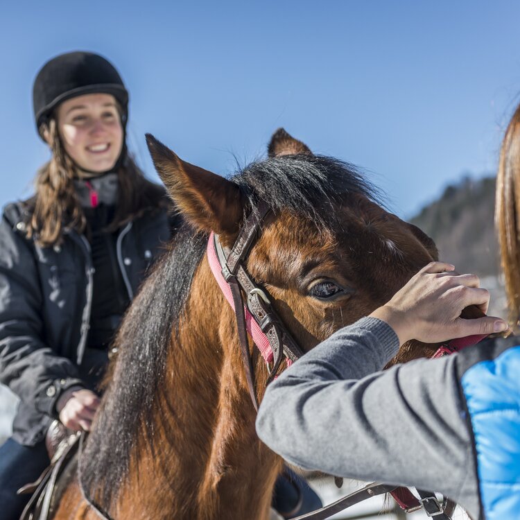 Archivio A P T Pine Cembra Ph Alberto Franceschi 16