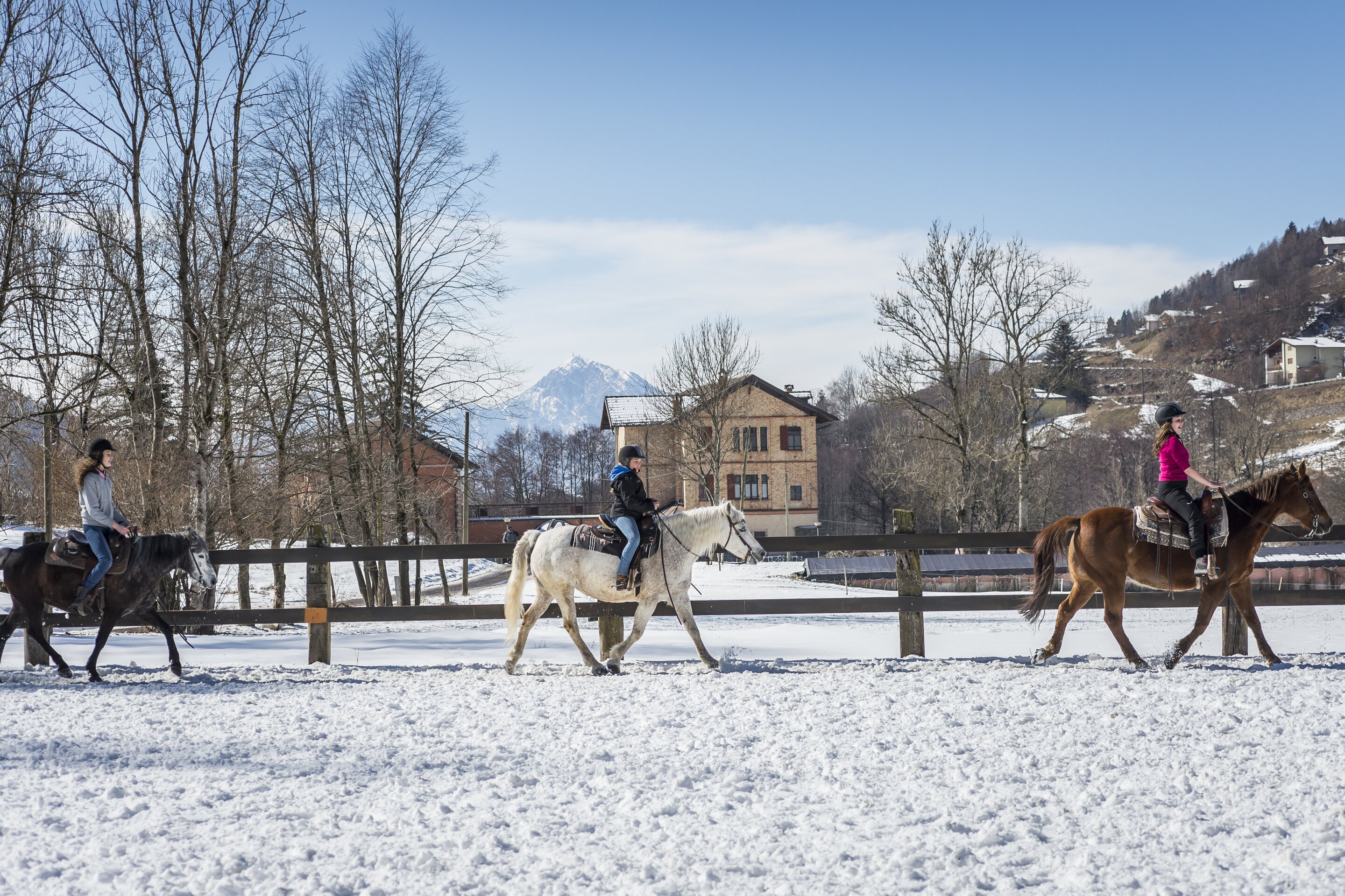 Archivio A P T Pine Cembra Ph Alberto Franceschi 10