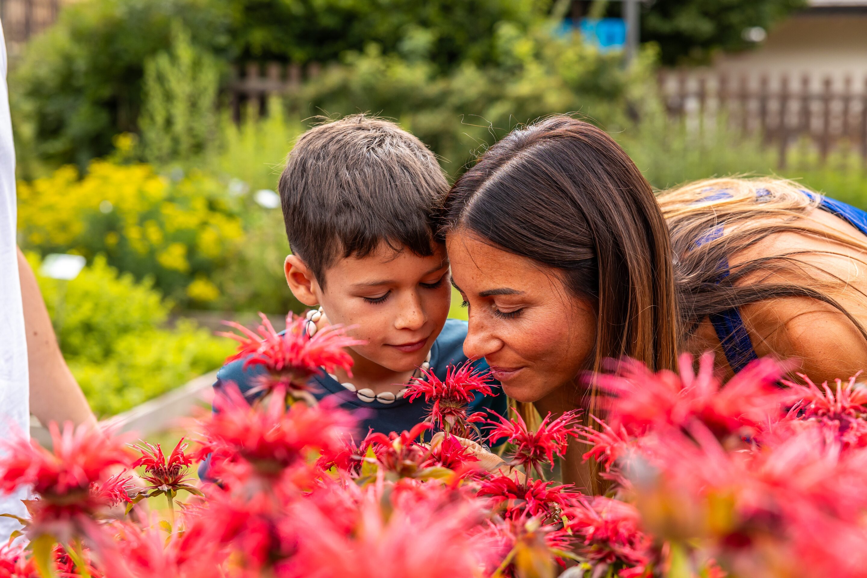 Quadretti Natura Apicoltura Gocce D Oro Ph Marco Gober 16