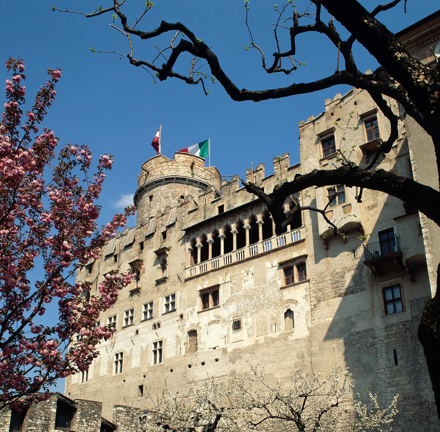 Trento Buonconsiglio P Geminiani Rid Copia