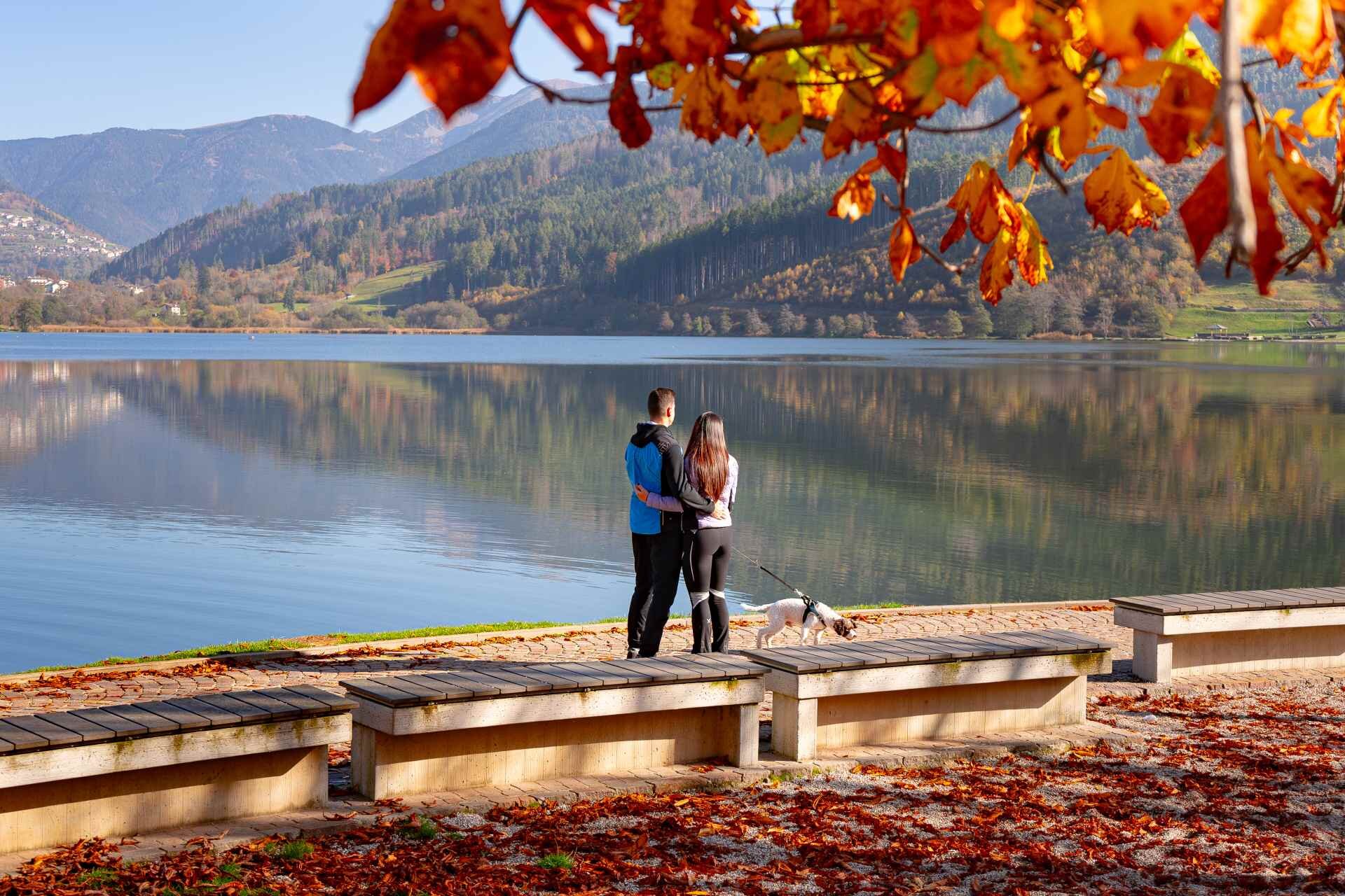 Autunno Altopiano Di Pine Ph A Catarozzi 1