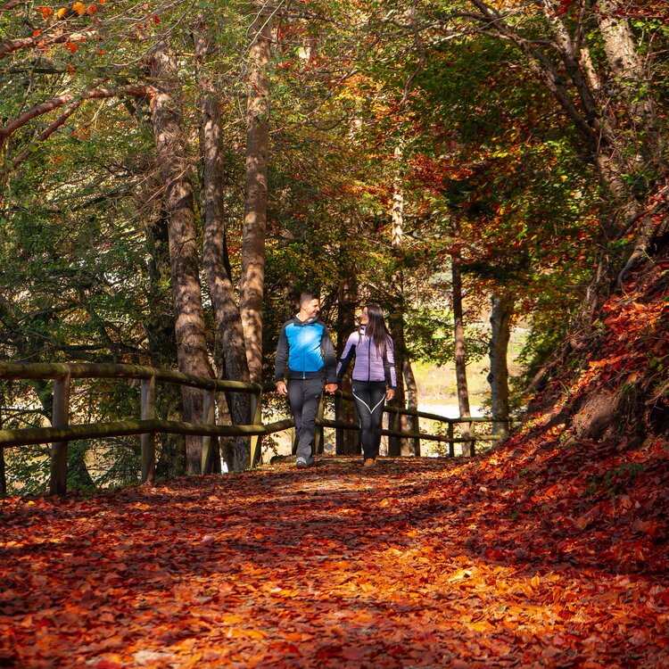 Autunno Altopiano Di Pine Ph A Catarozzi 6