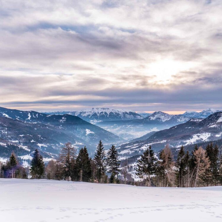 Inverno Altopiano Di Pine Ph A Monticelli 5