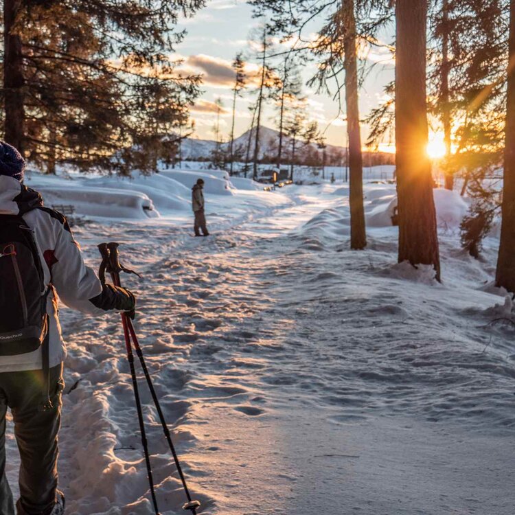 Inverno Altopiano Di Pine Ph A Monticelli 8