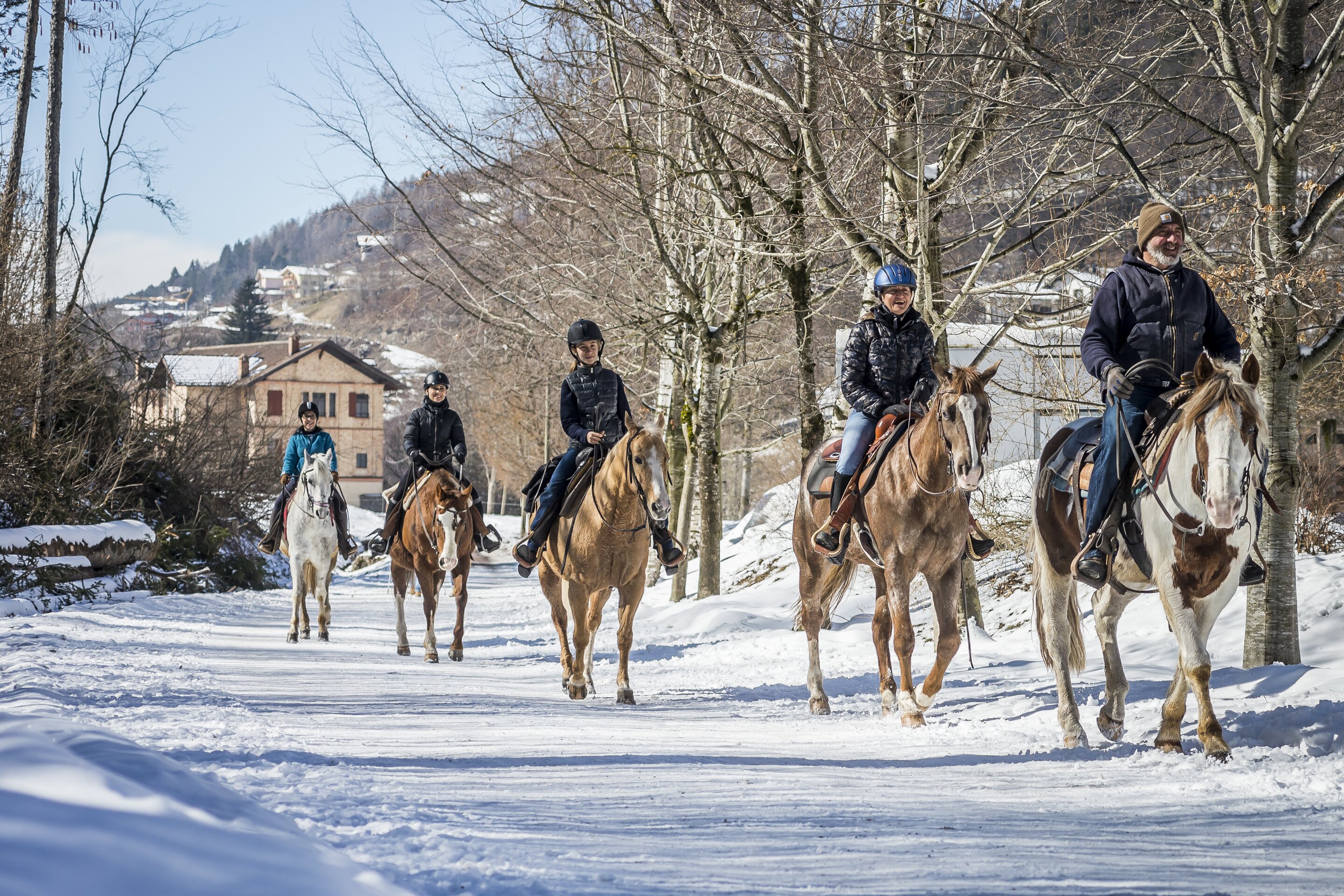 Archivio A P T Pine Cembra Ph Alberto Franceschi 2