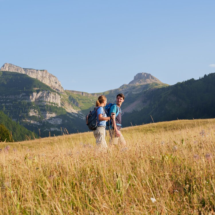 Monte Bondone Estate Ph Dejan Bilic 2