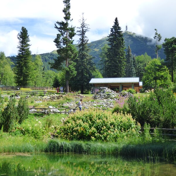 Giardino Botanico Alpino Viote Di Monte Bondone 1