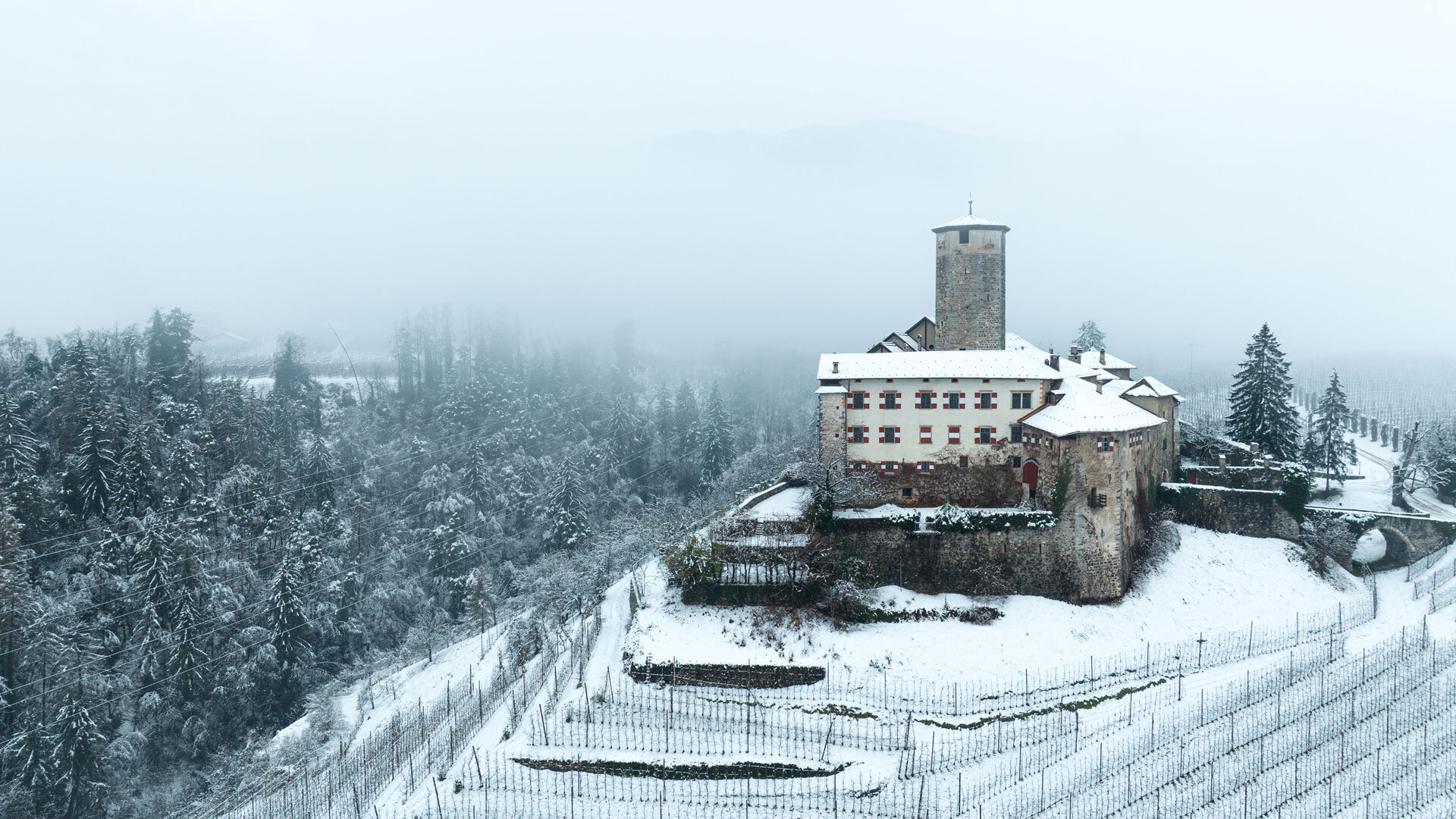 Elisafedrizzi Castel Vale